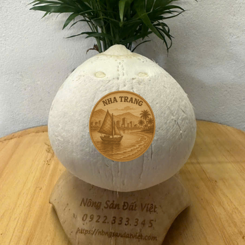 Sỉ lẻ dừa trọc Nha Trang