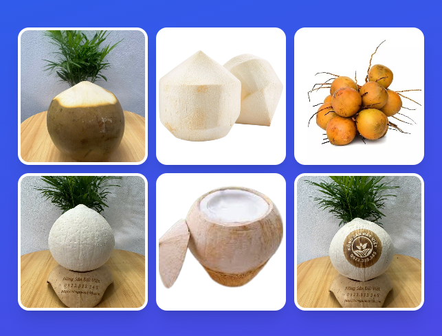 Sỉ lẻ dừa trọc toàn quốc